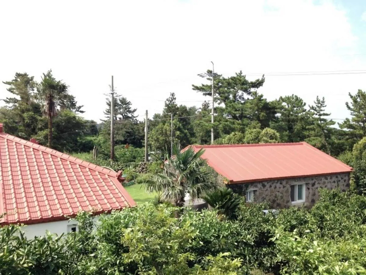 Jeju Stone House Villa Holiday home